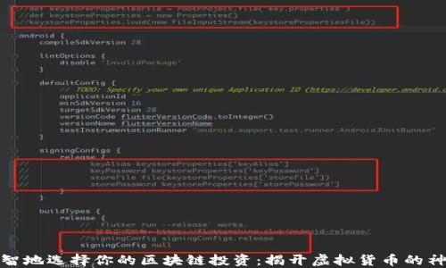 
如何明智地选择你的区块链投资：揭开虚拟货币的神秘面纱