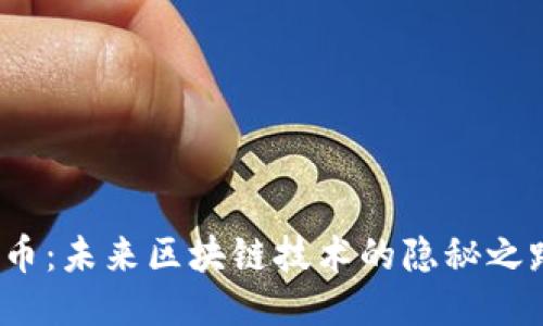 派币：未来区块链技术的隐秘之路？