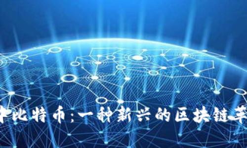 空中比特币：一种新兴的区块链革命？