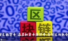 区块链分支数字币：在虚拟货币海洋中，您错过