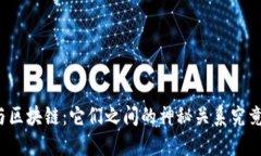 分叉币与区块链：它们之间的神秘关系究竟是什