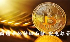 开放式区块链革命：跨国转币的神秘面纱，究竟