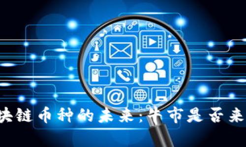 区块链币种的未来：牛市是否来临？