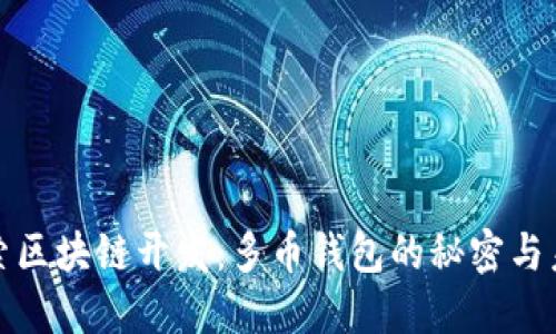 探索区块链开发：多币钱包的秘密与未来