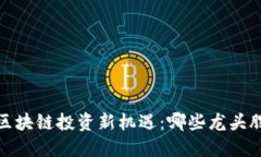 2023年区块链投资新机遇：哪些龙头股在崛起？