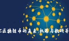 NEC区块链币的未来：机遇与挑战并存？