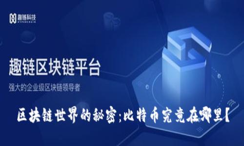 区块链世界的秘密：比特币究竟在哪里？