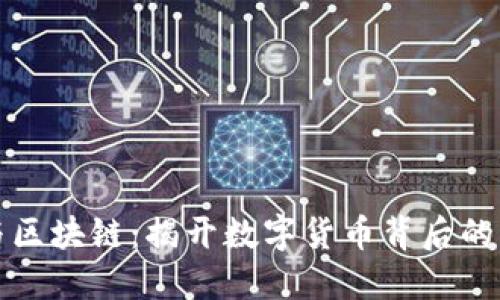 比特币与区块链：揭开数字货币背后的神秘面纱