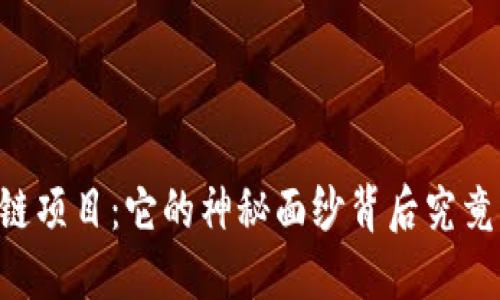币码翁区块链项目：它的神秘面纱背后究竟隐藏着什么？