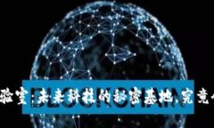 中国最新区块链实验室：未来科技的秘密基地，