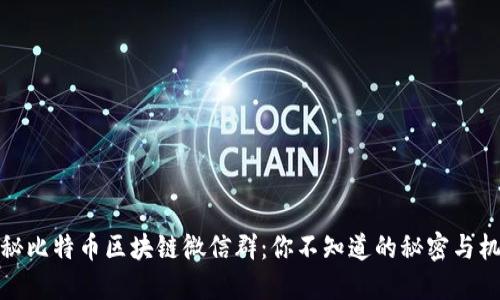 揭秘比特币区块链微信群：你不知道的秘密与机遇