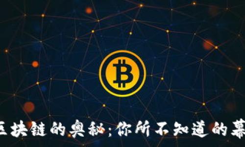   
比特币区块链的奥秘：你所不知道的幕后故事！