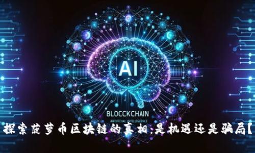 探索菠萝币区块链的真相：是机遇还是骗局？