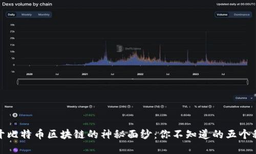 揭开比特币区块链的神秘面纱：你不知道的五个秘密