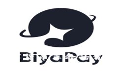 狗币区块链：一场数字货币革命的背后，究竟隐