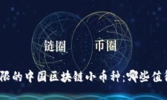 潜力无限的中国区块链小币种：哪些值得关注？