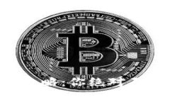 区块链币私募投资攻略：你绝对不能错过的关键