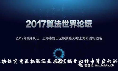 区块链究竟是机遇还是风险？揭开比特币背后的秘密