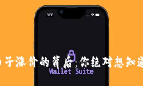 区块链币子涨价的背后：你绝对想知道的秘密！